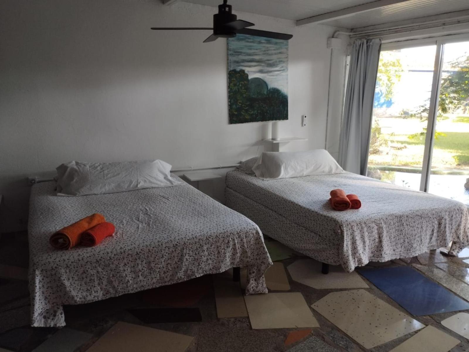Jacaranda Homestay Cadiz