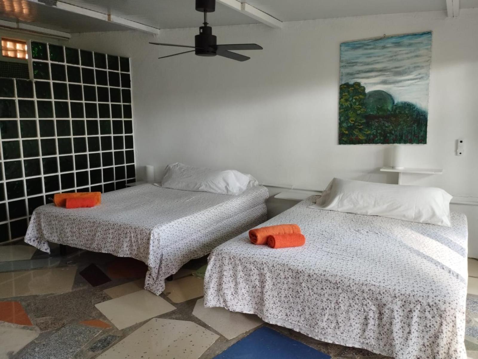 Homestay Jacaranda Cadiz